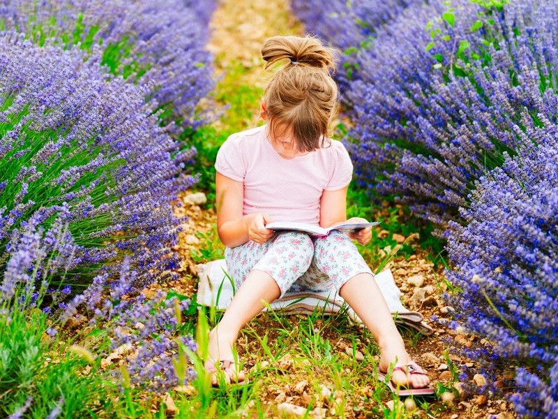 Classe découverte en Provence