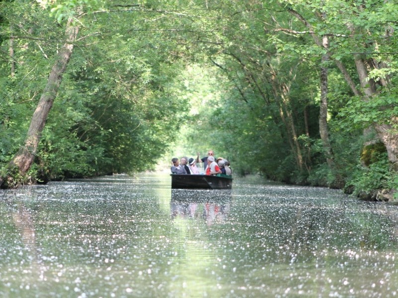 Classe découverte des marais poitevin