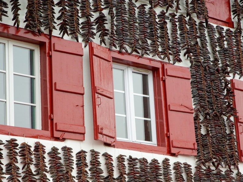 Classe découverte au Pays Basque.